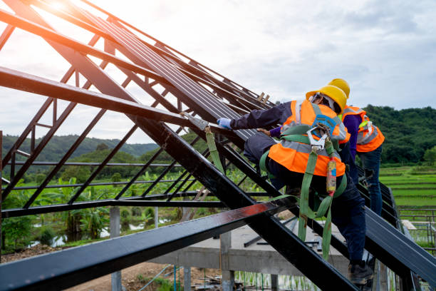 Best Roof Repair Services  in Glenwood, MN