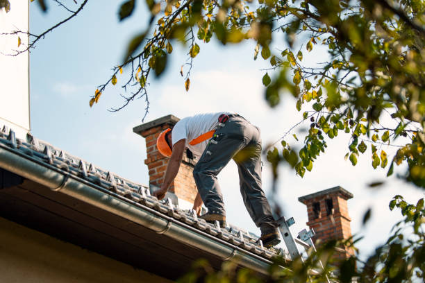 Best Roof Waterproofing Services  in Glenwood, MN