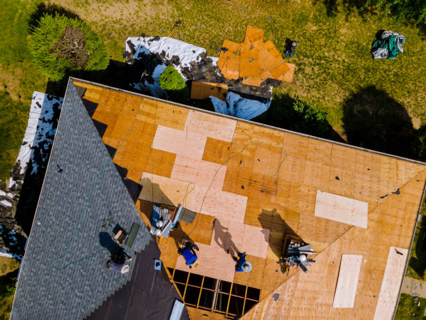 Best Local Roofing Companies  in Glenwood, MN