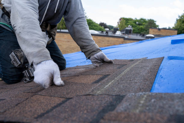 Best Roof Gutter Cleaning  in Glenwood, MN