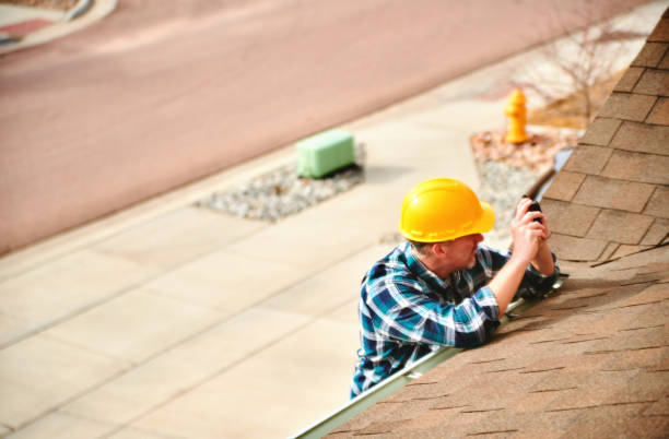 Best Storm Damage Roof Repair  in Glenwood, MN