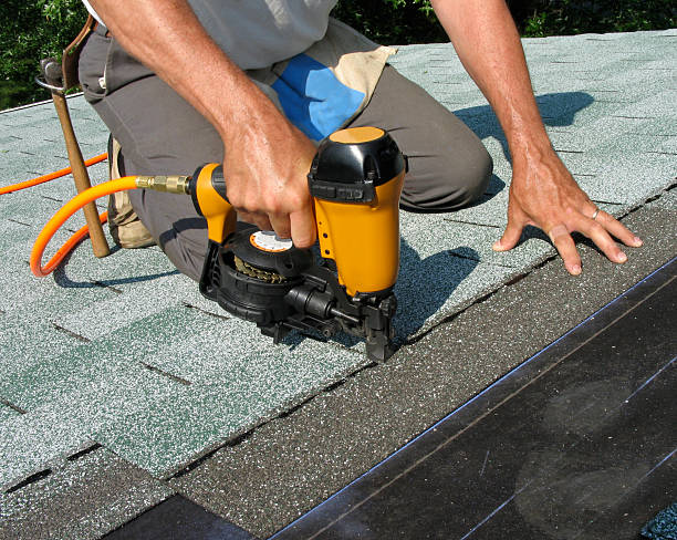 Best Gutter Installation and Roofing  in Glenwood, MN