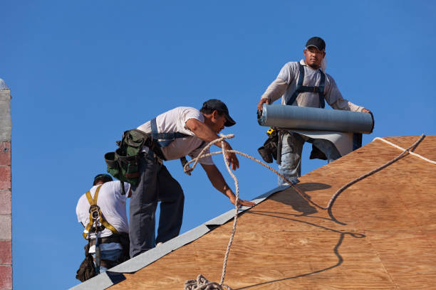 Best Roof Replacement Cost  in Glenwood, MN