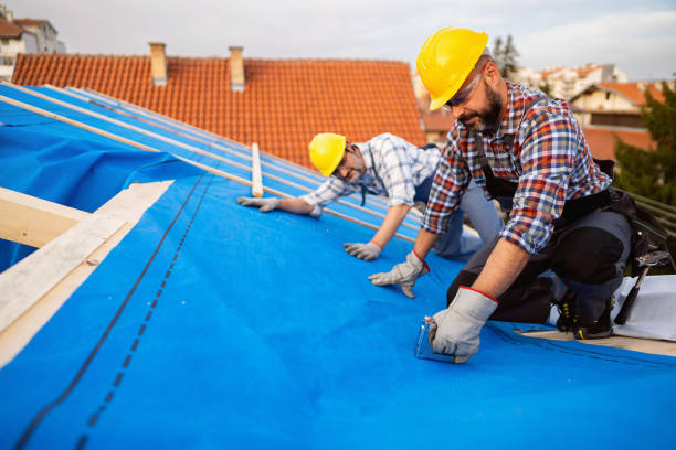 Roof Waterproofing Services in Glenwood, MN