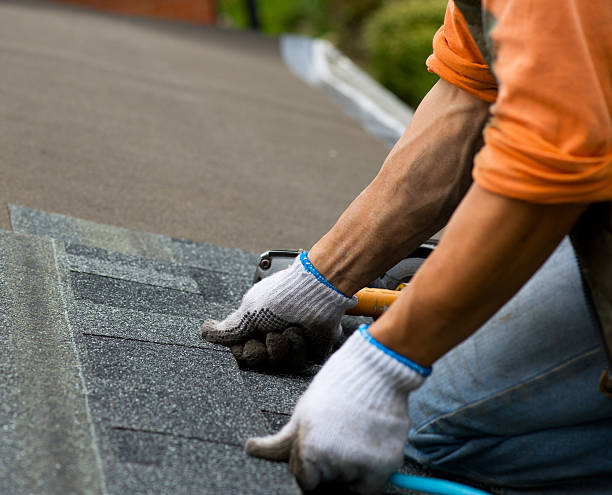 Best Metal Roofing Contractor  in Glenwood, MN