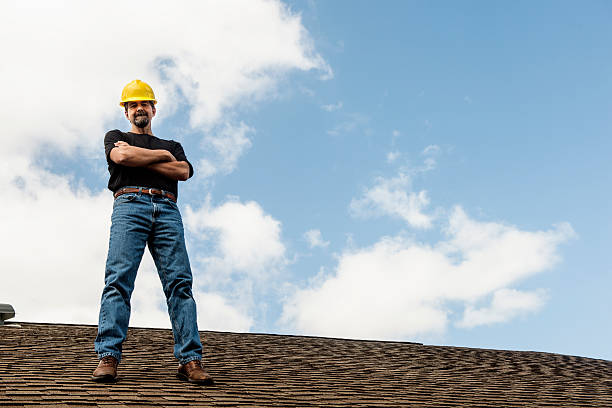 Best Roof Leak Repair  in Glenwood, MN