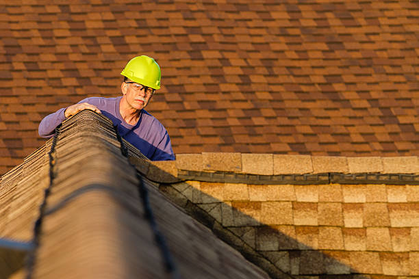 Best Roof Replacement Cost  in Glenwood, MN